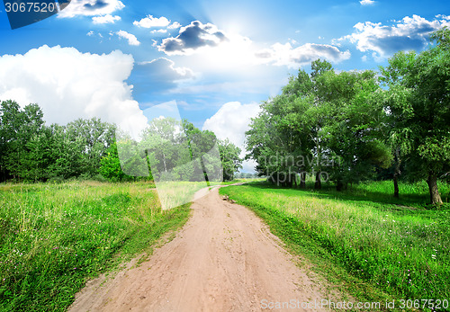 Image of Road and trees