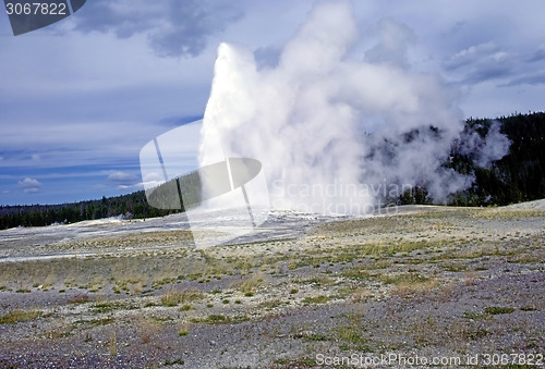 Image of Old Faithful