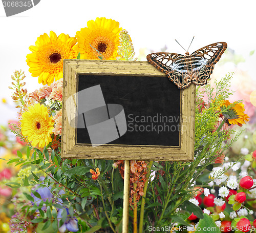 Image of chalkboard in the garden