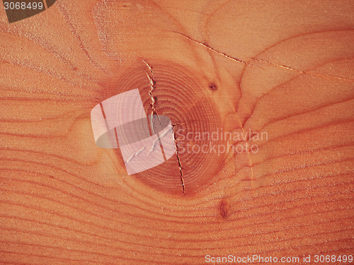 Image of Larch wood background