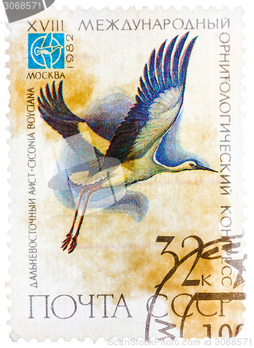 Image of Stamp printed in USSR Russia shows a bird Ciconia boyciana wit