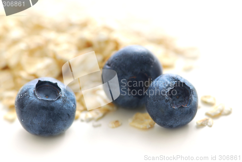 Image of Blueberry oats