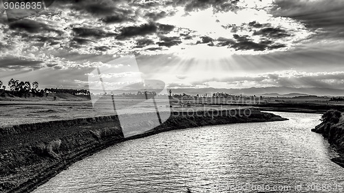 Image of Late afternoon sun