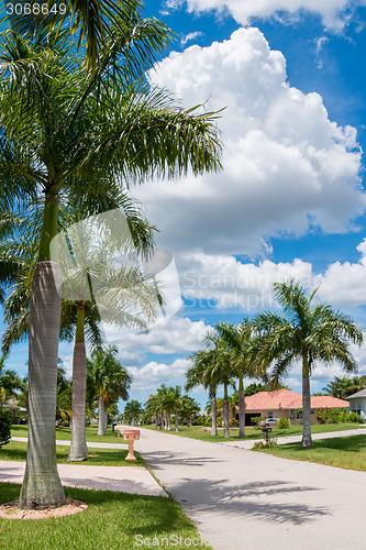 Image of Sunny Florida