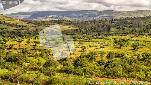Image of Beautiful landscape of Harar