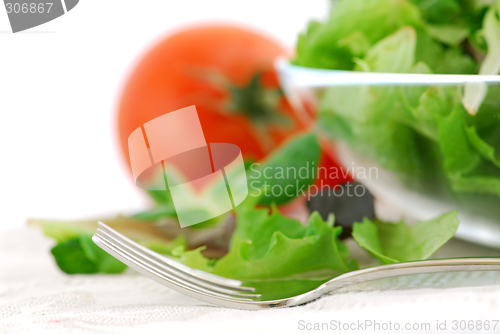 Image of Baby greens and tomatoes