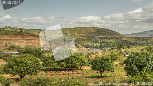 Image of The road from Harar to Jigjiga