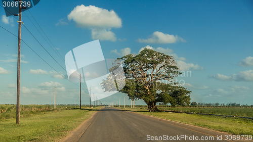 Image of Country road 