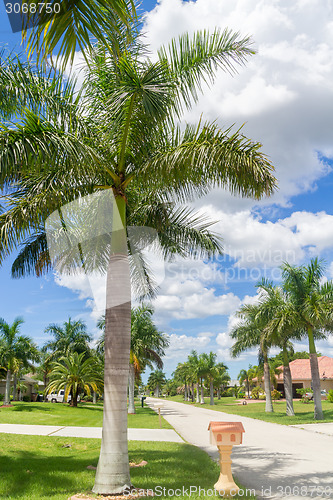 Image of Sunny Florida