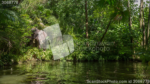 Image of Elephant in the jungle