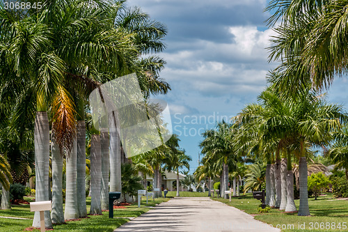 Image of Sunny Florida