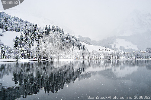 Image of Winter Landscape