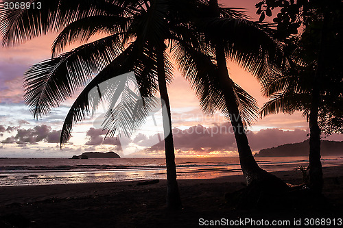 Image of Tropical Sunset