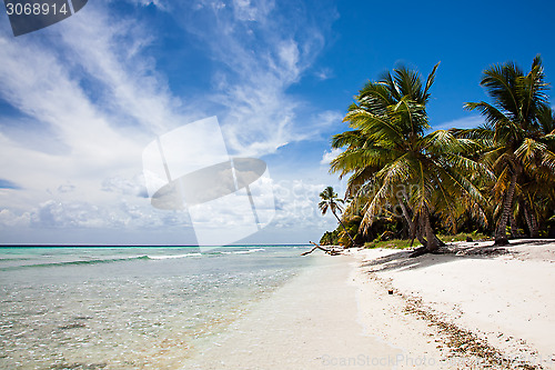 Image of Tropical Beach