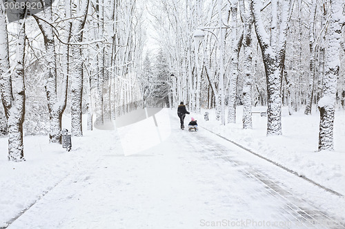 Image of Park in winter.