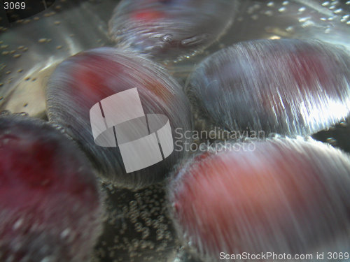 Image of plums
