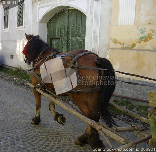 Image of hacky  in movement