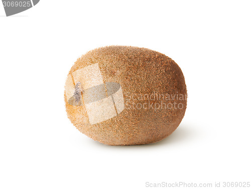 Image of Single Of Juicy Kiwi Fruit