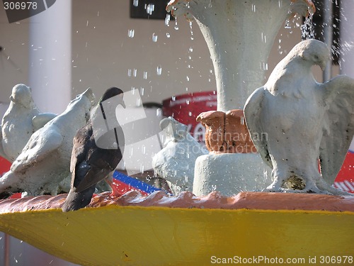 Image of dove and fountain