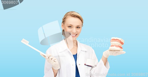 Image of smiling female doctor with toothbrush and jaws