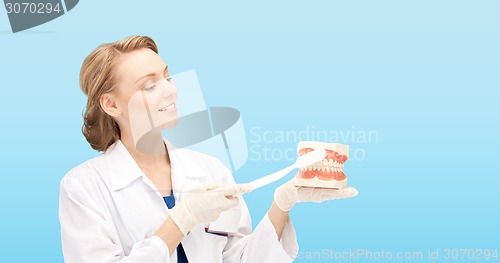 Image of smiling female doctor with toothbrush and jaws