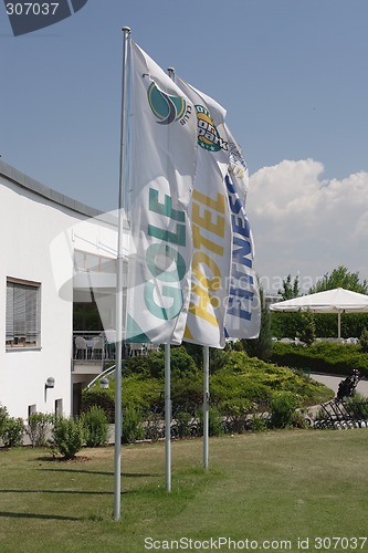 Image of Golf flags