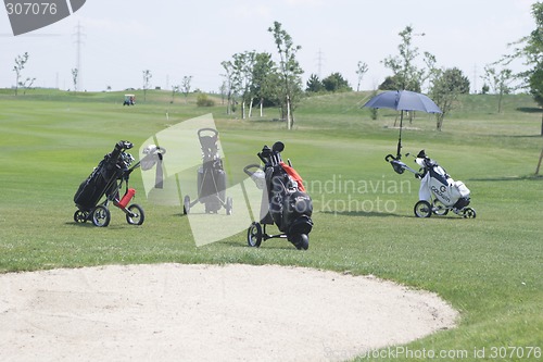 Image of Golf bags in golf course