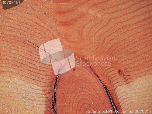 Image of Larch wood background