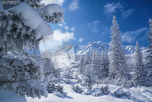 Image of Idyllic winter
