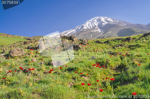 Image of Damavand in Iran