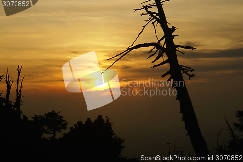 Image of Deadly sunset