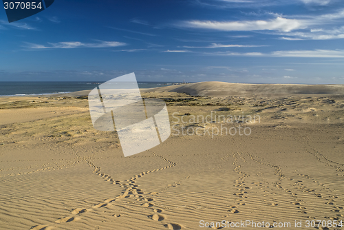 Image of Sand dunes