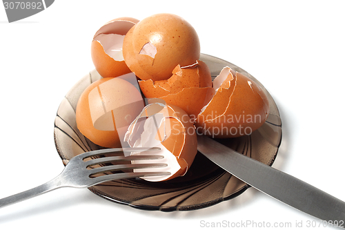 Image of Dish with egg shells