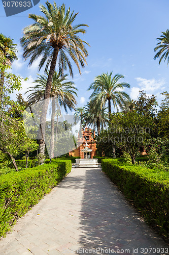 Image of Seville Alcazar Garden