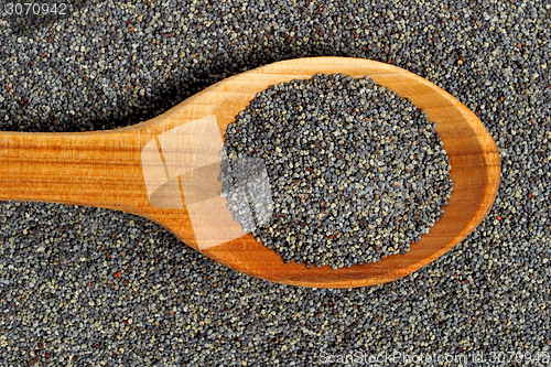 Image of Poppy seeds