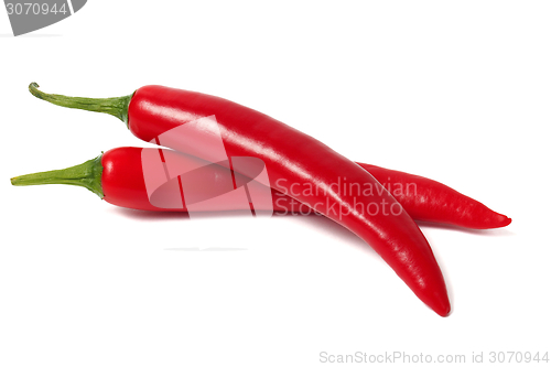 Image of Red chili peppers