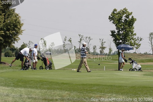 Image of Golfers in golf course