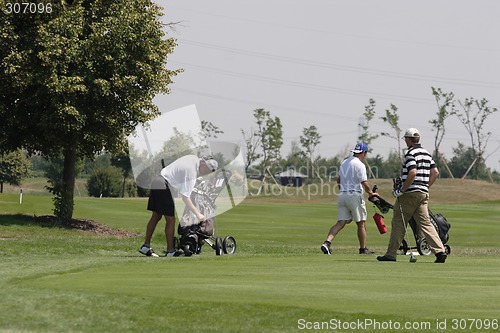 Image of Golfers in golf course