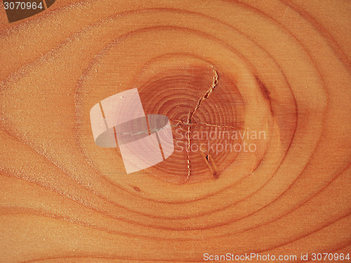 Image of Larch wood background