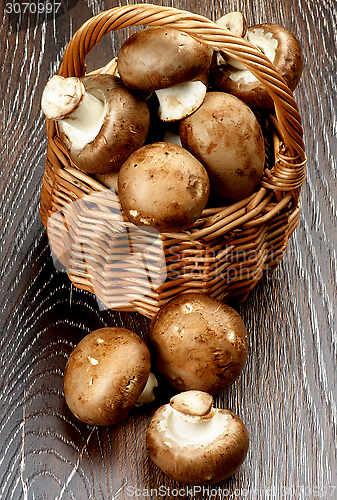 Image of Portabello Mushroom