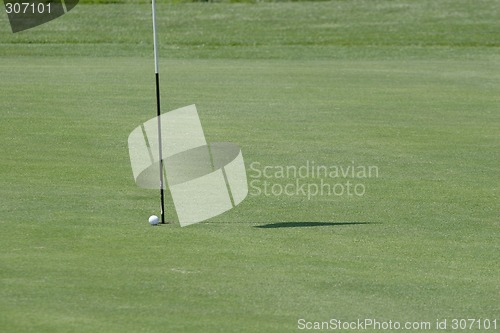 Image of Golf ball on golf green