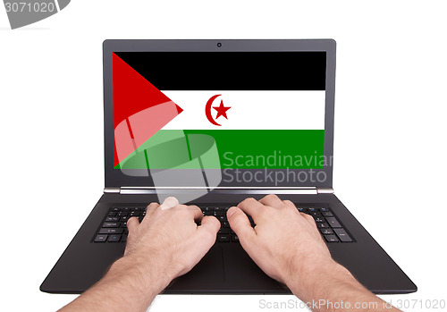 Image of Hands working on laptop, Western Sahara