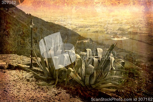 Image of Postcard from Italy (series)