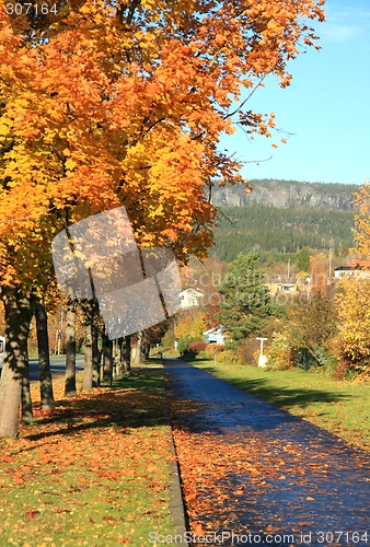 Image of Autumn pathway