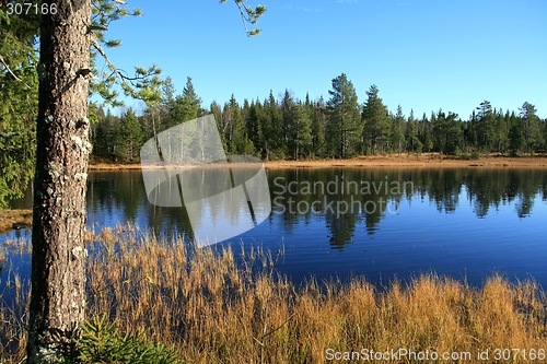 Image of Autumn tarn