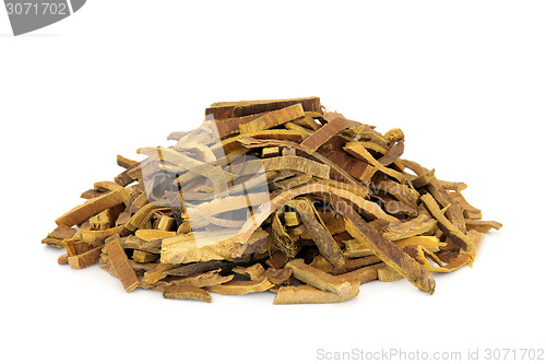 Image of Amur Cork Tree Bark Herb