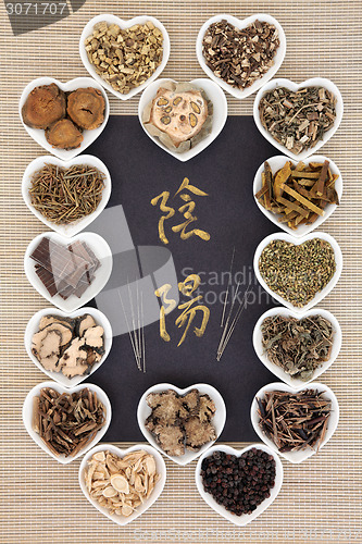 Image of Yin Yang Chinese Medicine