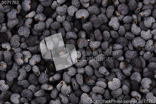 Image of poppy seeds background