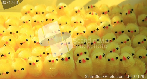 Image of yelow chicken background