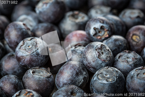 Image of Blueberries background